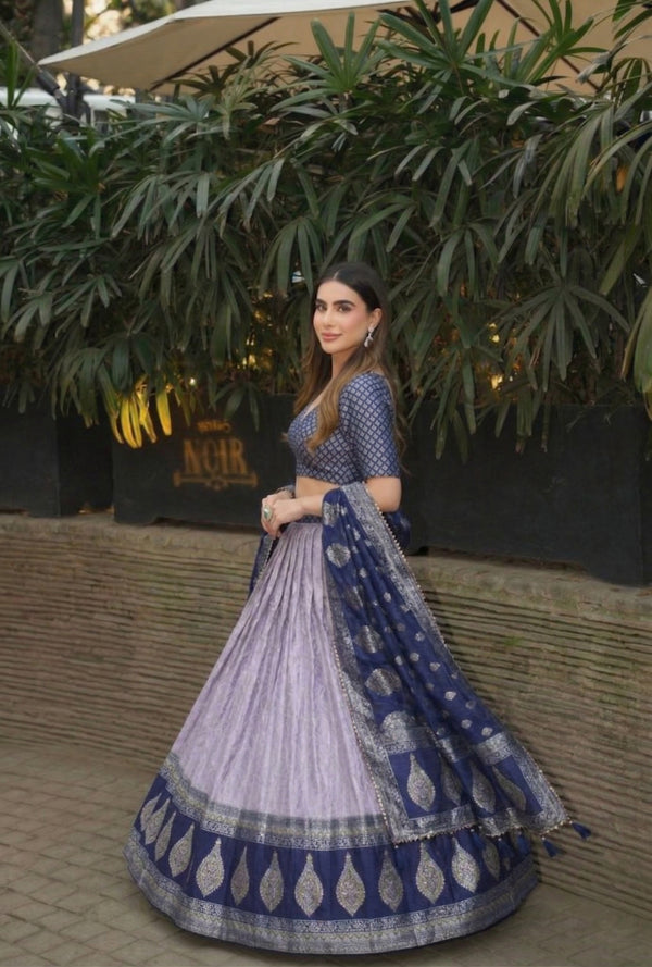 Kanchipuram Silk Pattu Lehenga Set with Silver Zari Weaving Butti Work