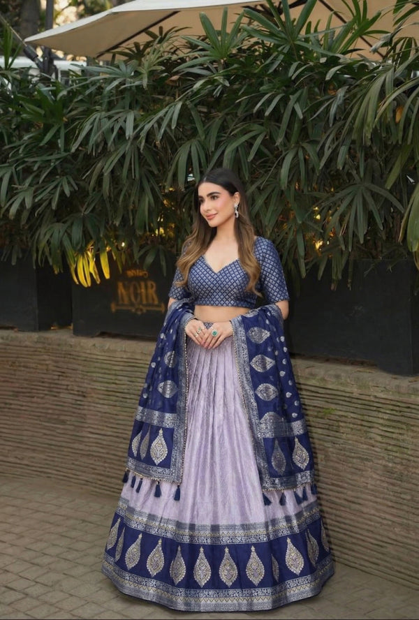 Kanchipuram Silk Pattu Lehenga Set with Silver Zari Weaving Butti Work